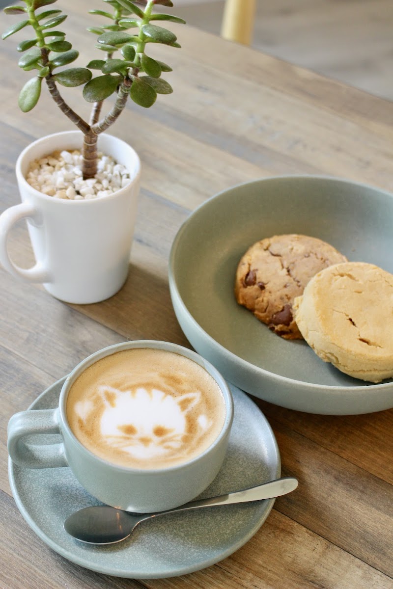 Jiji Rescue Cat Cafe